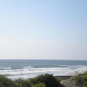 Meet your Posher, Marsha